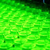 Una colorida fiesta de Neon