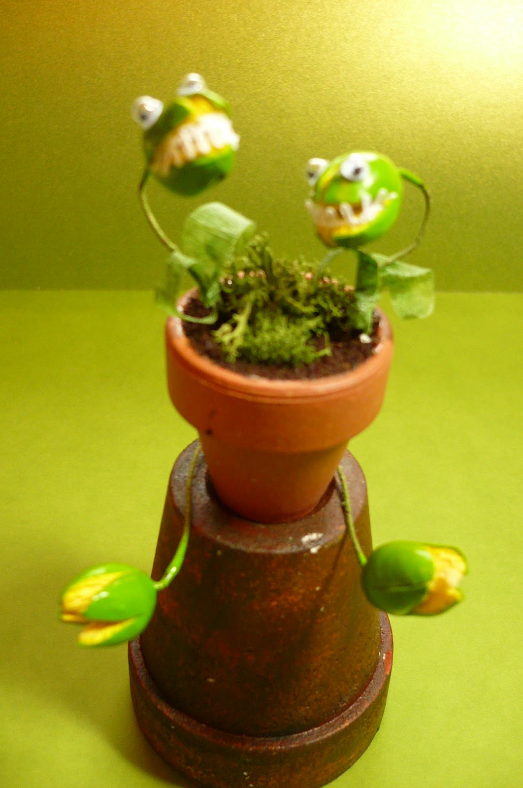 A Small Hearts Desire