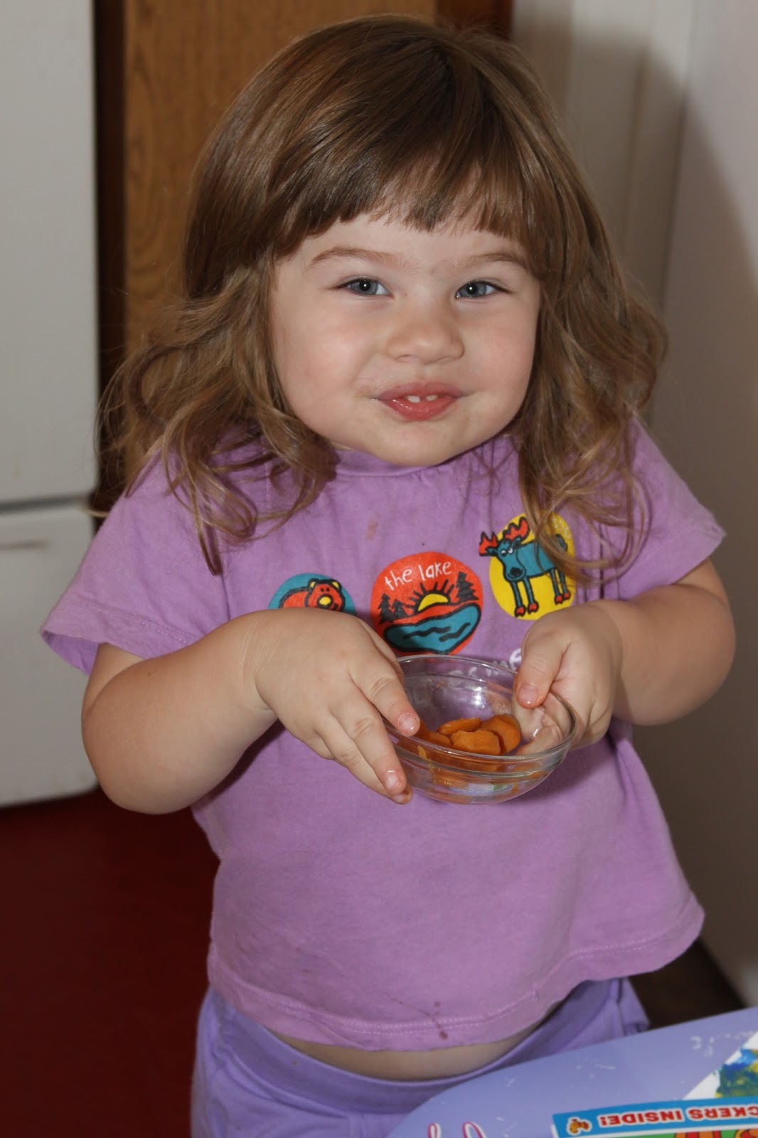 For the Love of Food Frozen Fruit Bites for Infants made with Gerber