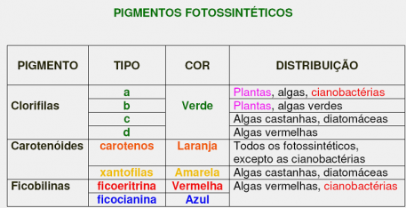 Il pigmentary nota su un corpo al bambino circa un anno