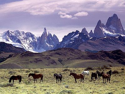 patagonia giants land