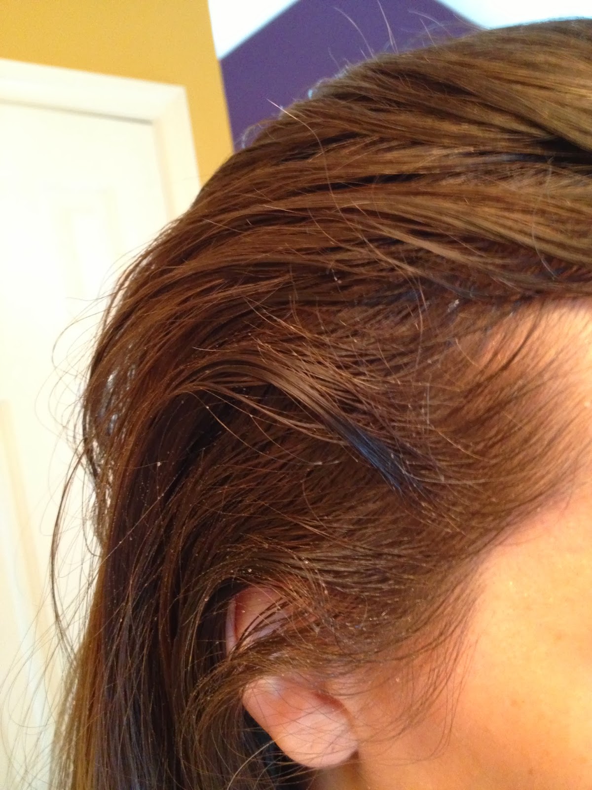 The DIY Guinea Pig DIY Dry Shampoo