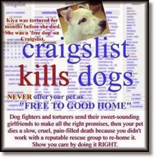 free dog to good home craigslist