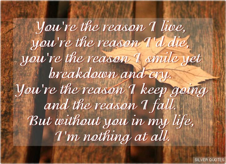 You're the Reason I Live SILVER QUOTES
