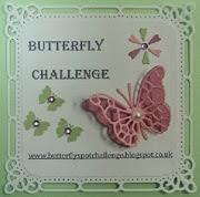 Butterfly Challenge