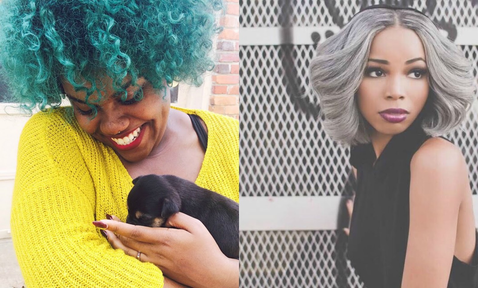 colored haired on black