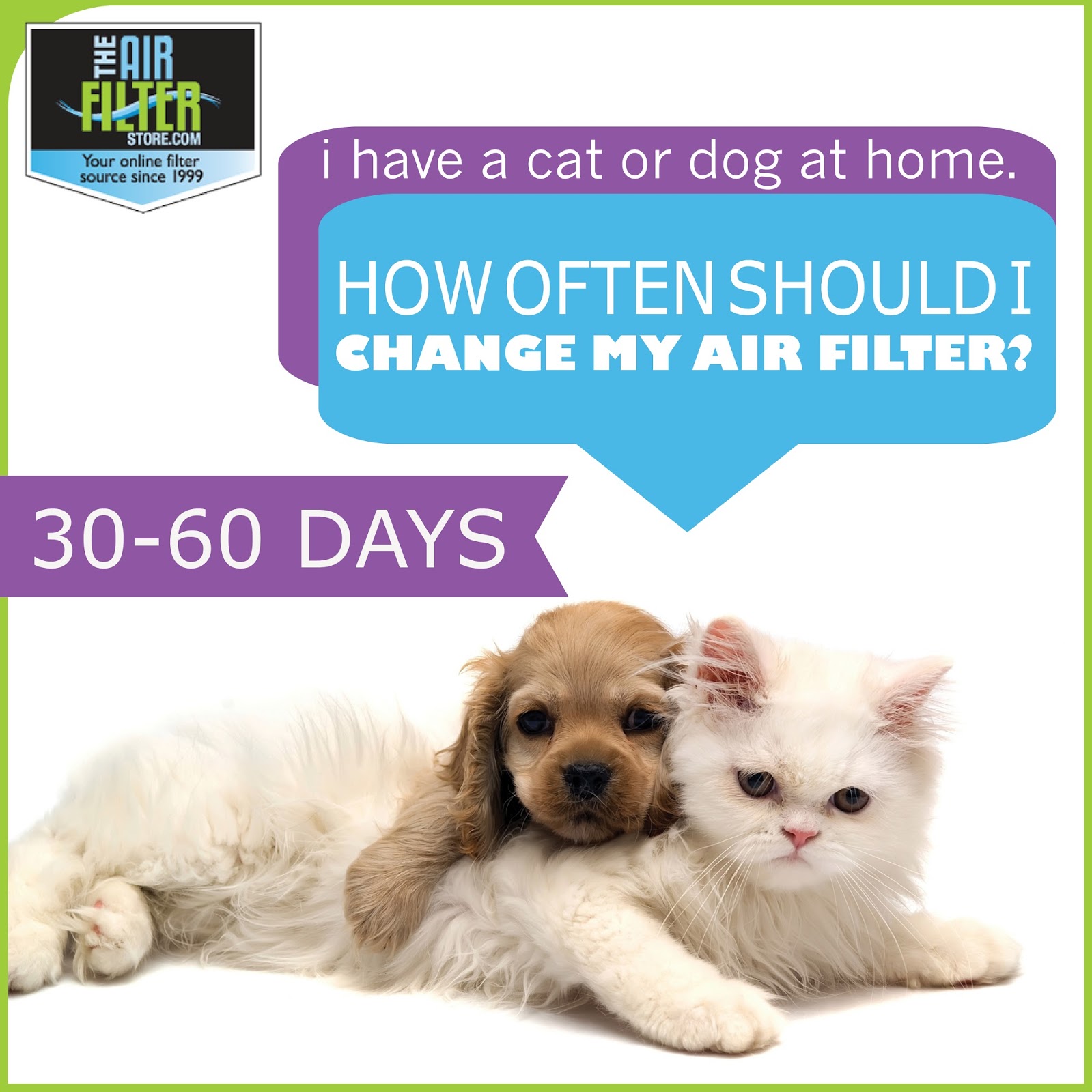 The Air Filter Store