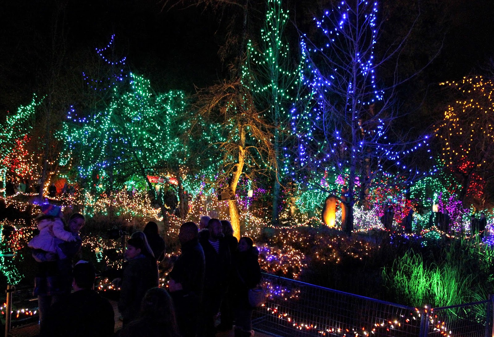 Festival of Lights at VanDusen Botanical Garden The Chronicles of Wanderlust