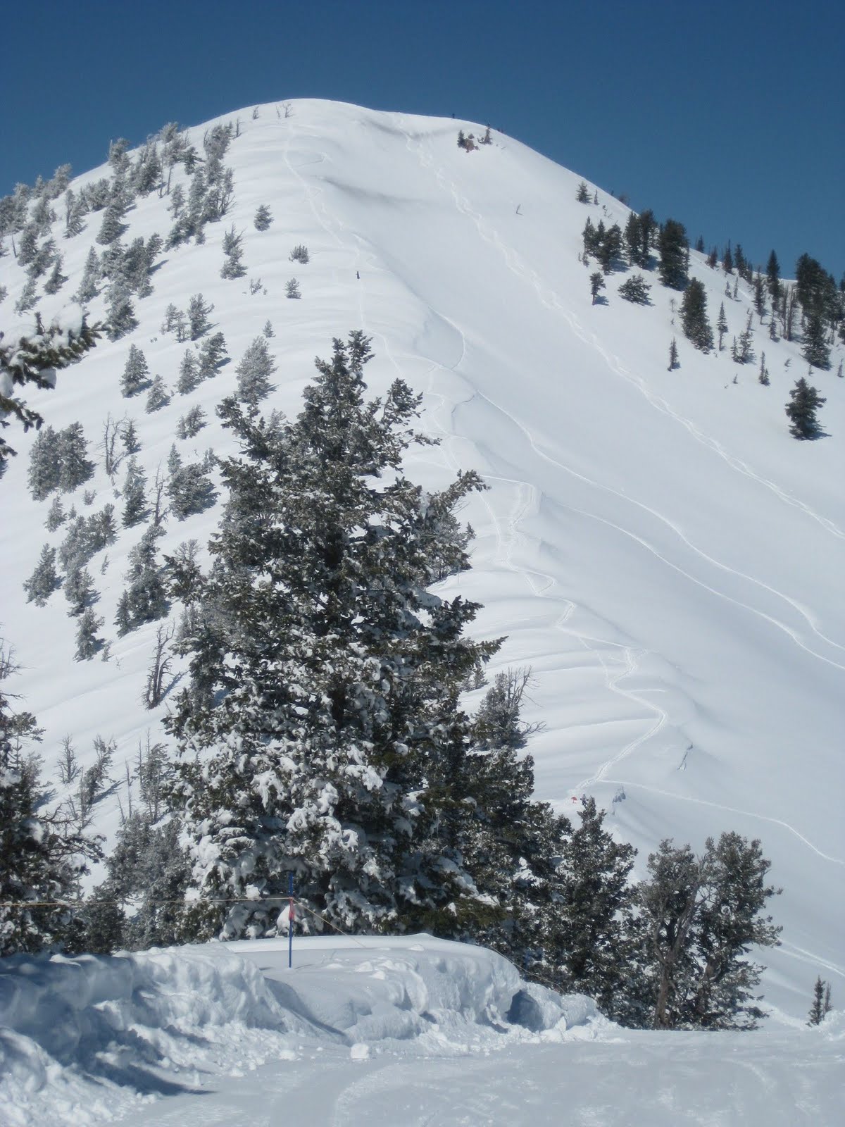 The Mighty Skunk And That's Why They Call It "Powder Mountain"