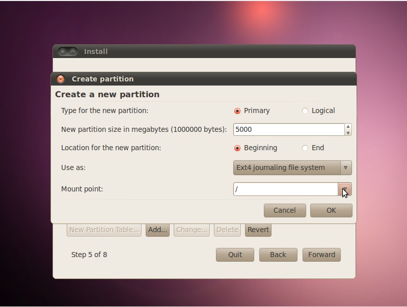 Install Ubuntu Server 10.04 Step By Step