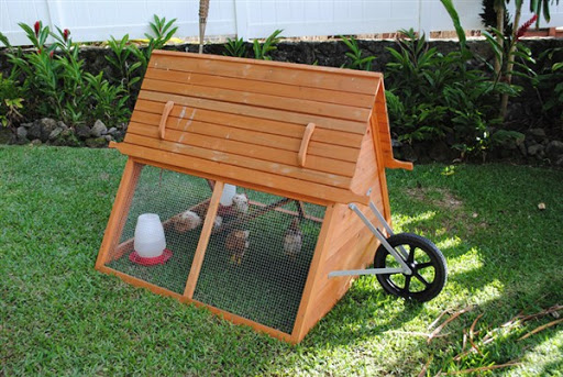 contoh gambar model rumah kandang ayam desain unik minimalis modern dari kayu terbaru 2015/2016 contoh gambar model rumah kandang ayam desain unik minimalis modern dari kayu terbaru 2015/2016