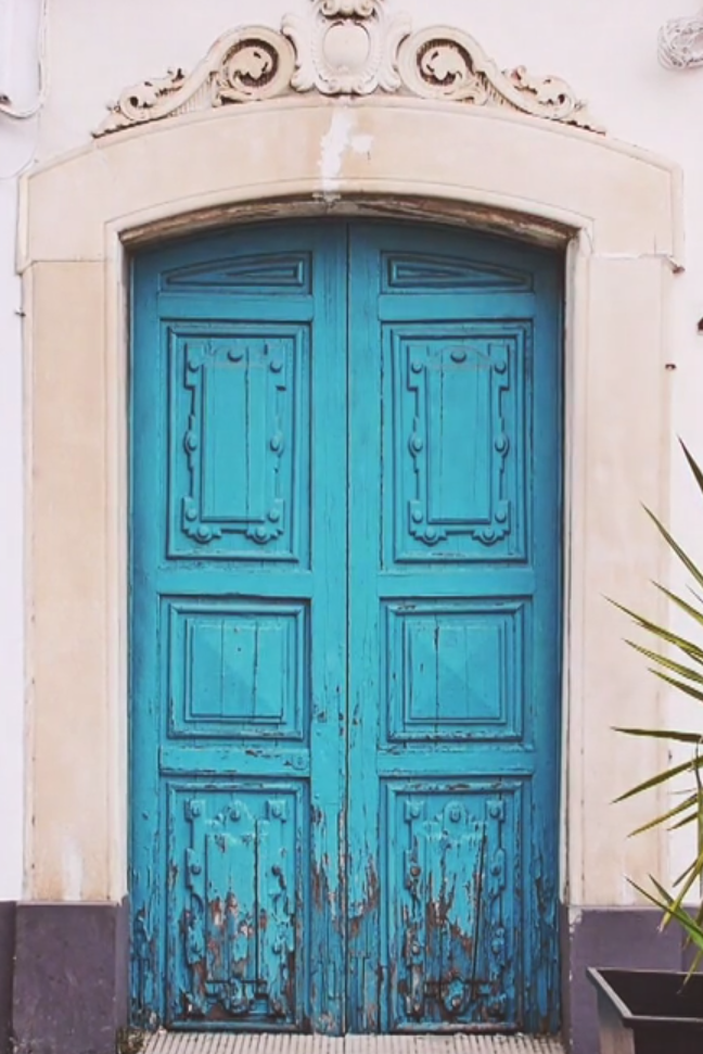 My Reading Journal The Door Miroslav Holub Poem