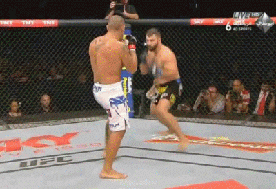 Andrei Arlovski Destroys Antonio Bigfoot Silva - UFC Fight Night 51 Brasilia