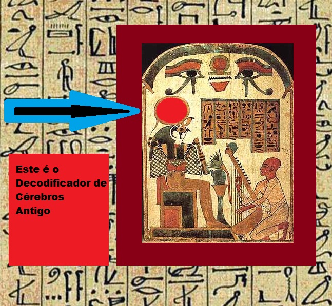 o cubo enigmático do homem o decodificador de cérebros desvendado