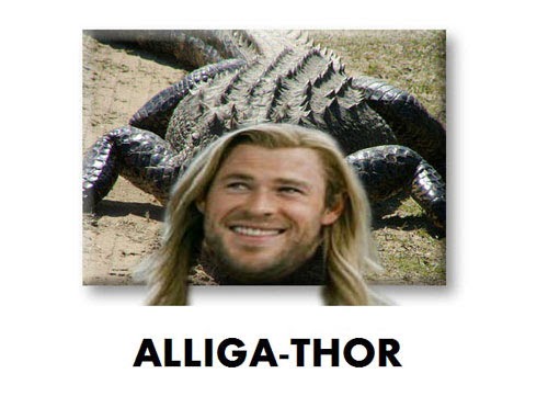 Chistes Thor: Alliga - Thor