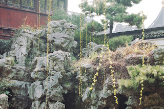 Le Yu Garden yu garden-shanghai-chine-vieille ville chinoise-fleurs-cerisiers-roses-jardin-zen