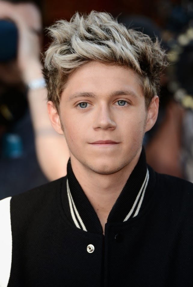 One Direction INA Biografi Niall Horan