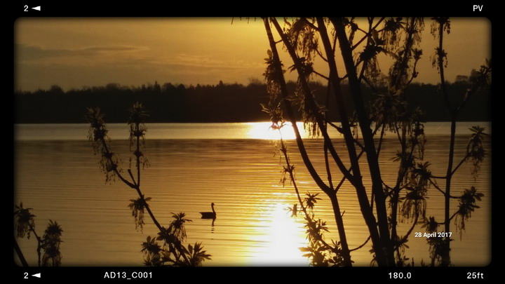 Cataraqui Reflections