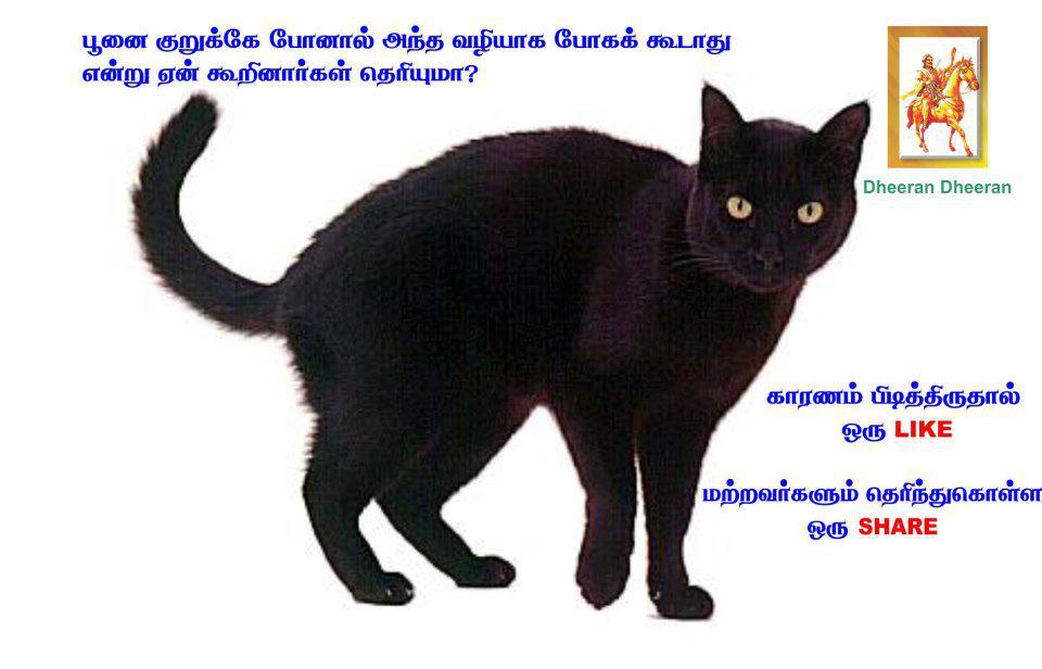 Tamil Kavithaikal Poonai Kurukey poga kodaathu