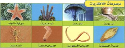 اي انواع الرخويات تستقر في مكان واحد