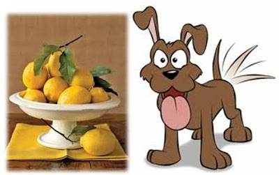 Lemon Juice Spray Dog Training Lemon Juice Spray Dog Training
