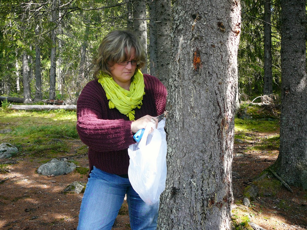 Dagmar Magdalena Rainbowserpent Medicine Woman Spruce Resin Medicine