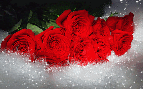 Fotos de amor con movimiento- hermosas para descargar en