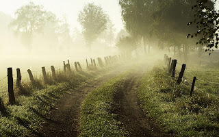 Mavis Fitzpatrick: fog wallpaper Mavis Fitzpatrick: fog wallpaper