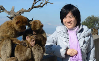 la championne du monde d'échecs Hou Yifan posant avec les fameux singes de Gibraltar la championne du monde d'échecs Hou Yifan posant avec les fameux singes de Gibraltar