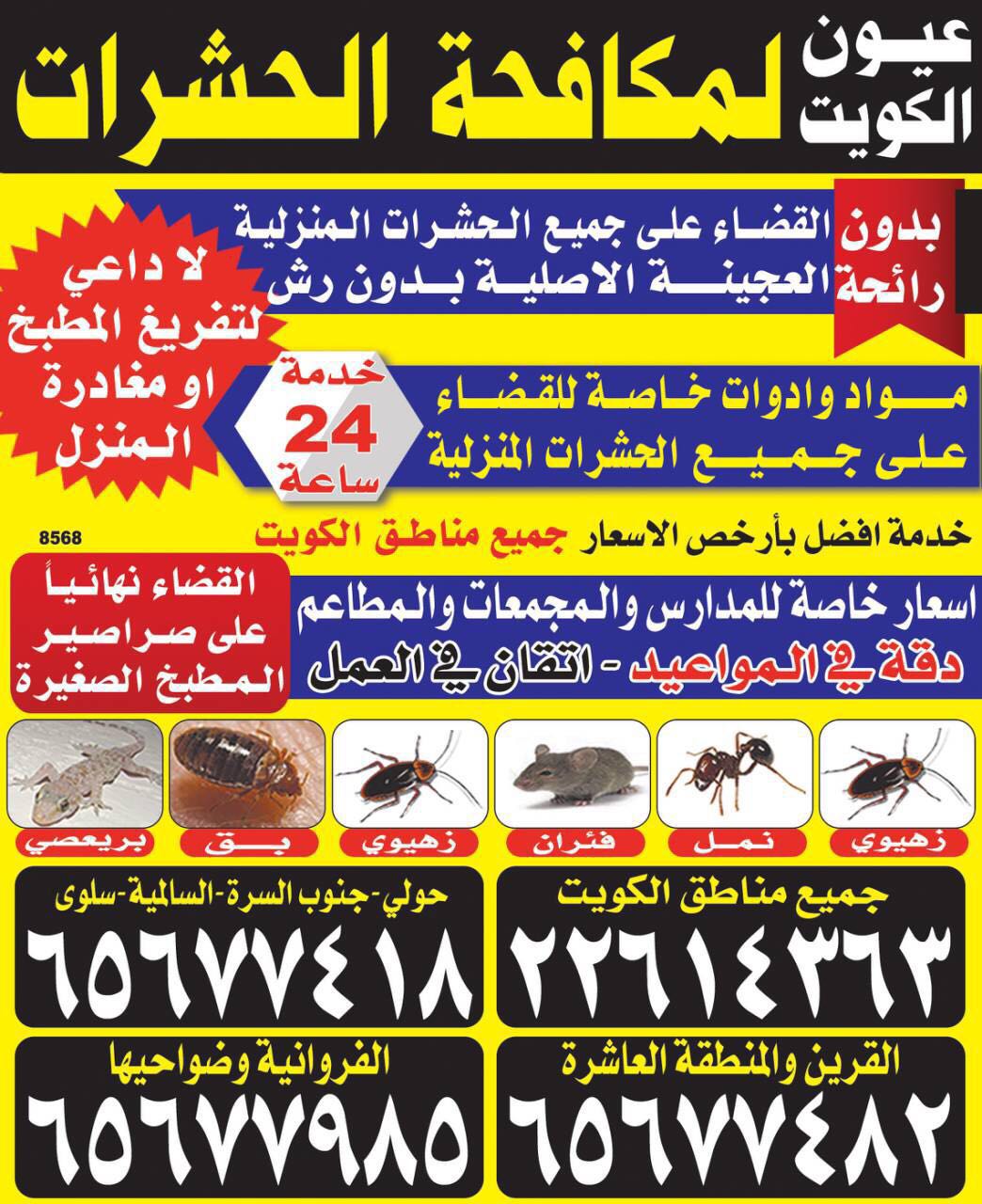 شركة مكافحة حشرات والقوارض بالكويت 94166565
