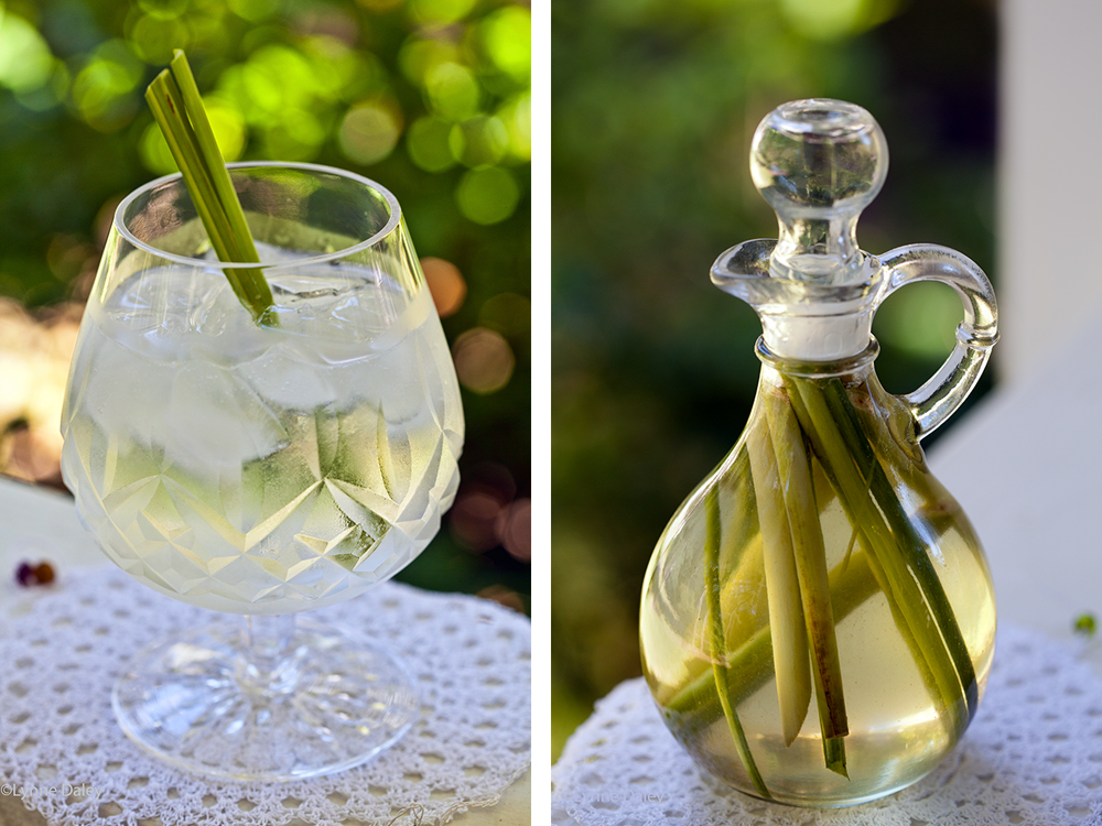 Cafe Lynnylu Lemongrass Gin and Tonic with Homemade Lemongrass Simple