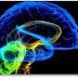 La espiritualidad humana tiene su origen en estructuras cerebrales
