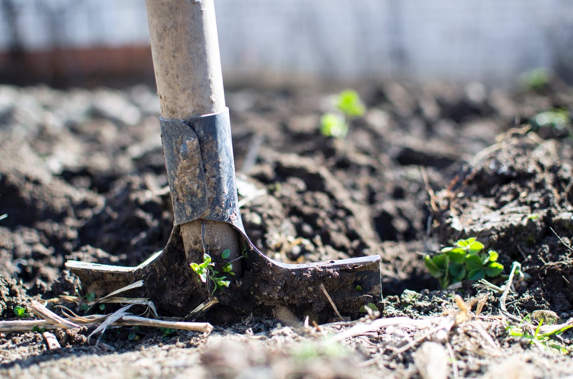 Jardinage. Fumier, compost : comment fabriquer vos engrais organiques ?