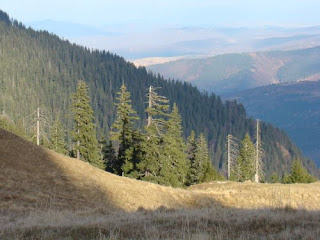 coborarea de la Caban Piatra Mare spre Cabana Dambu Morii