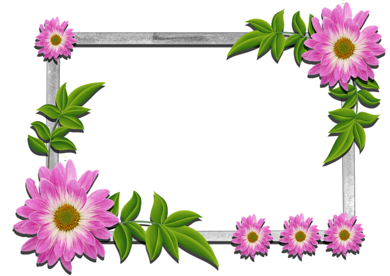 MARCOS PHOTOSCAPE MARCOS FhotoScape, Y GIMP MARCOS FLOREADOS