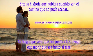 Eres la historia que hubiera querido ser, el camino que no pude acabar Eres la historia que hubiera querido ser, el camino que no pude acabar