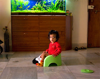 Fish tank and me keeping tropical fish