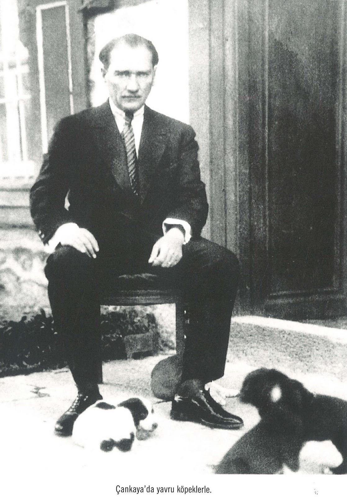 felis domesticus ATATÜRK VE KÖPEĞİ FOKS�UN HİKAYESİ