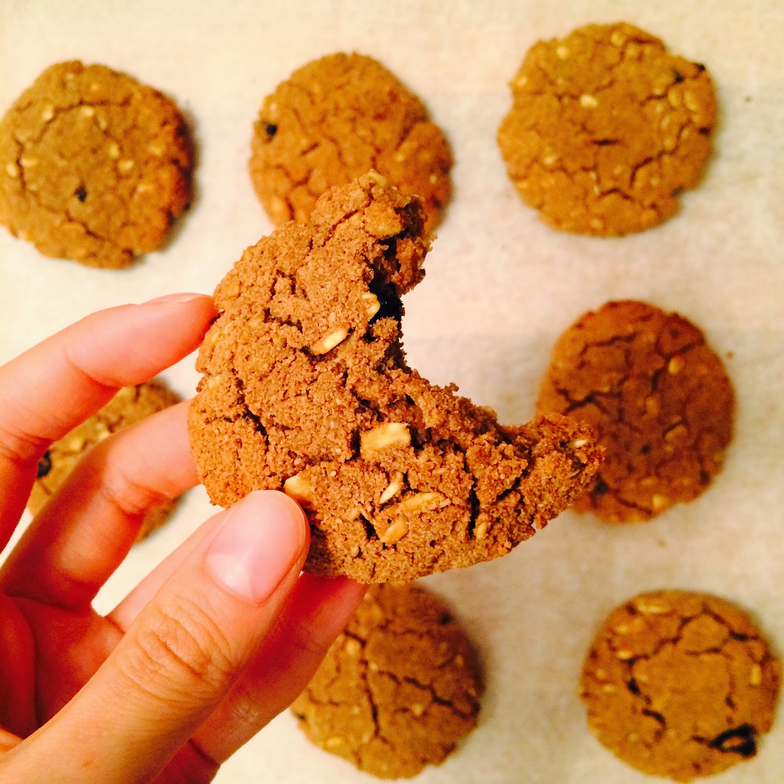 Chocolate & Coconut Berry Oats Cookies Chocolate & Coconut Berry Oats Cookies Recipe