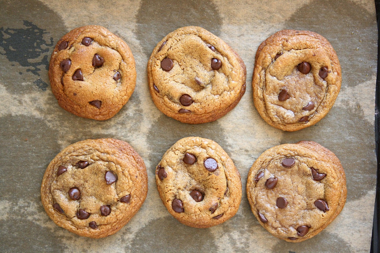 collecting memories Soft Dark Brown Sugar Chocolate Chip Cookies