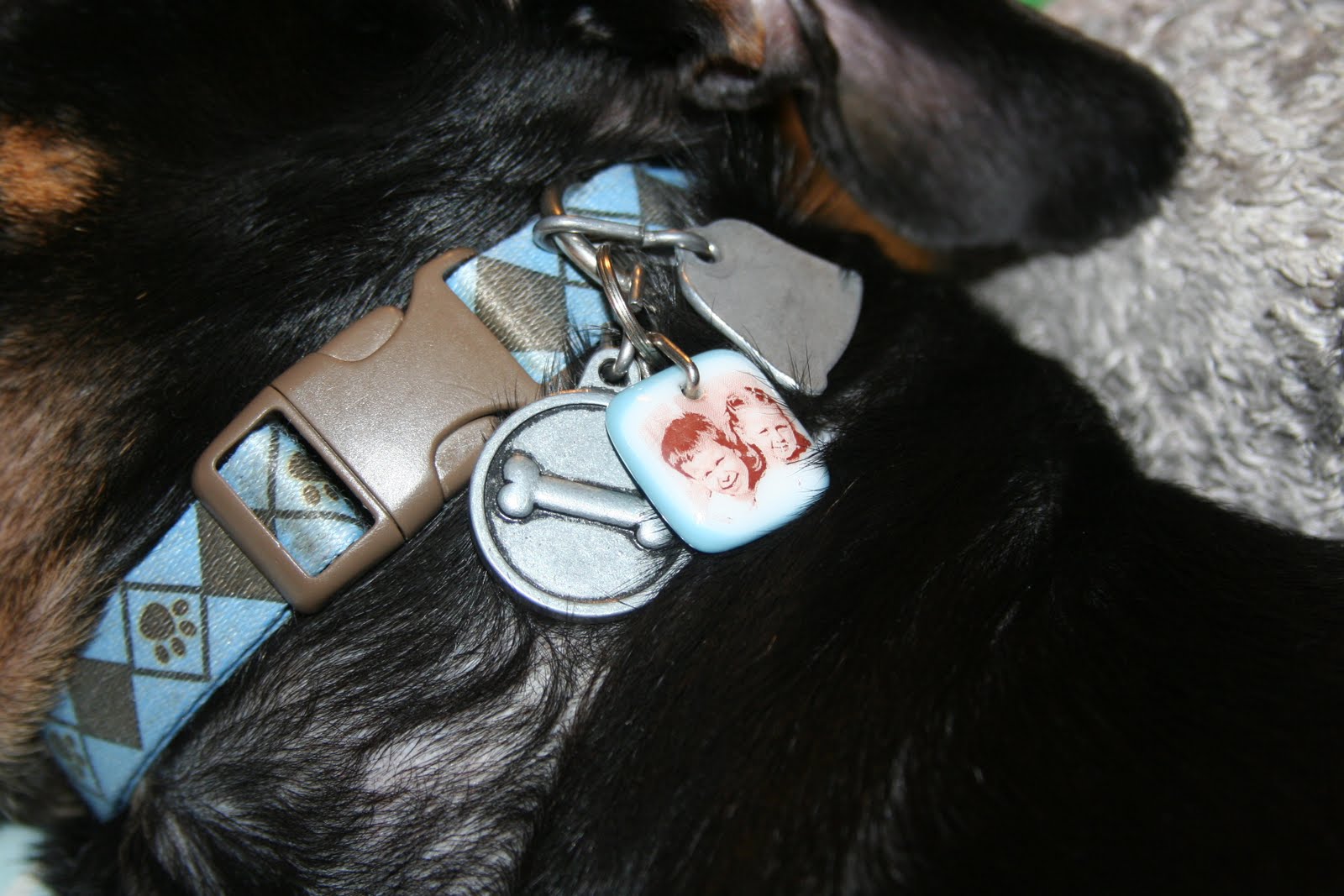 A little of this and a little of that... NEW! Dog Collar Charms for