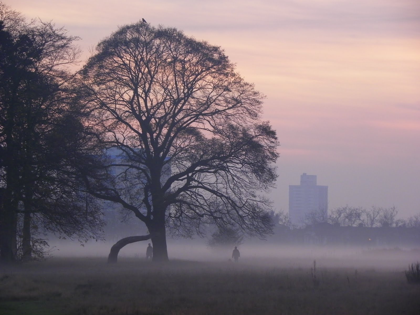 Random Blowe Fog & Sunset On Wanstead Flats