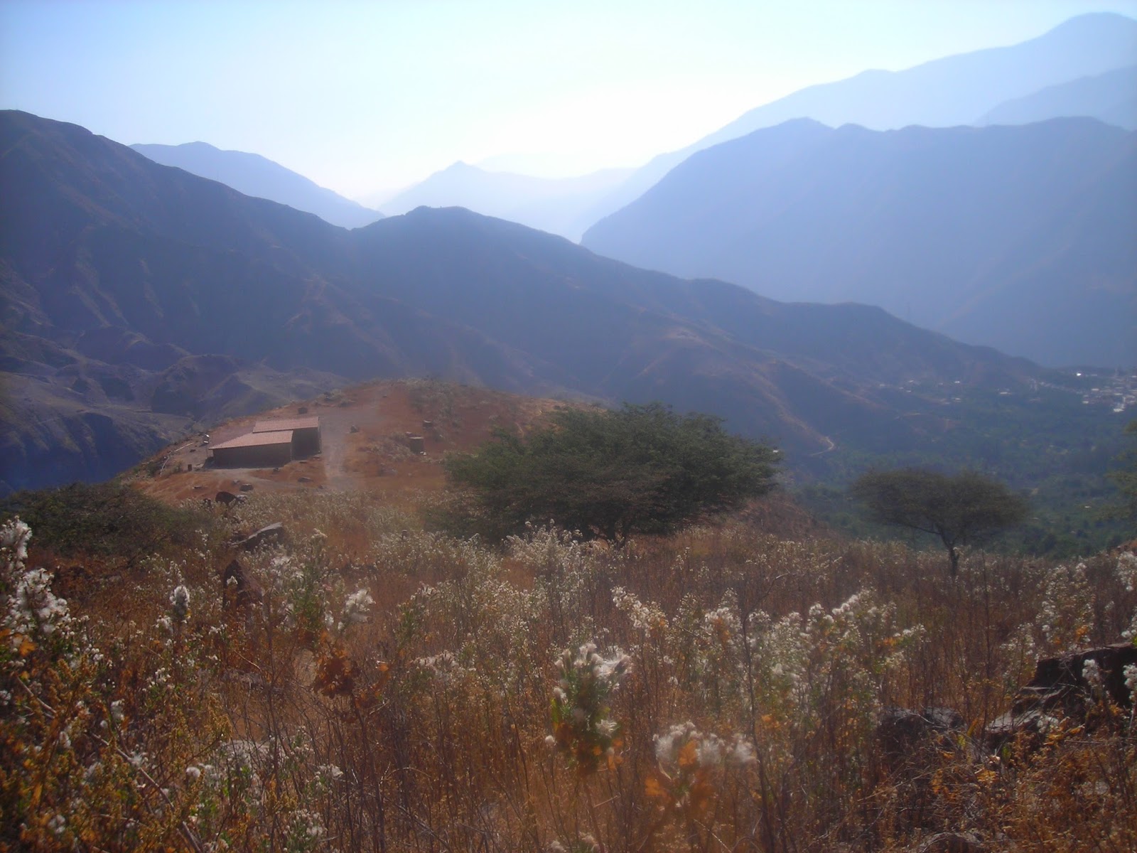 TOUR FULL DIVERSIÓNCANOTAJE, CANOPIMG Y TREKKING BOSQUE DE ZARATE