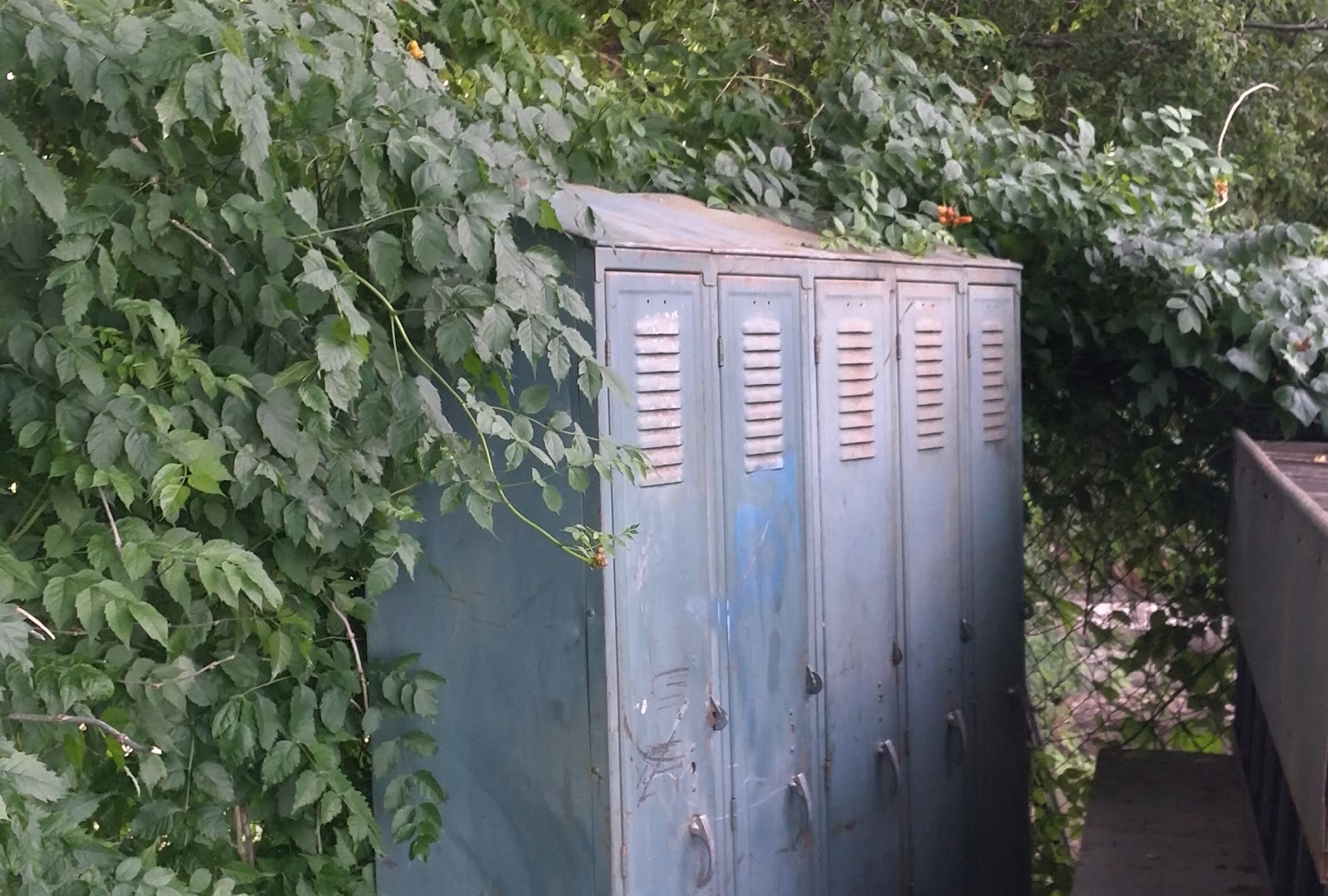 Old Lockers 5 Vintage Metal School Lockers (Oklahoma City Craigslist