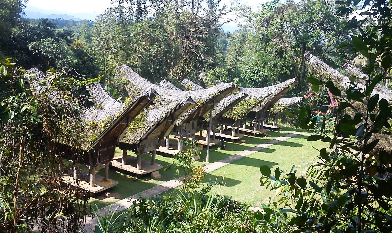 sodventure Tana Toraja, Wisata Budaya Unik & Pemandangan