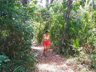 A middle age woman walking in the middle of forest. A middle age woman walking in the middle of forest.