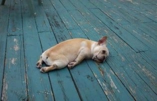exhausted