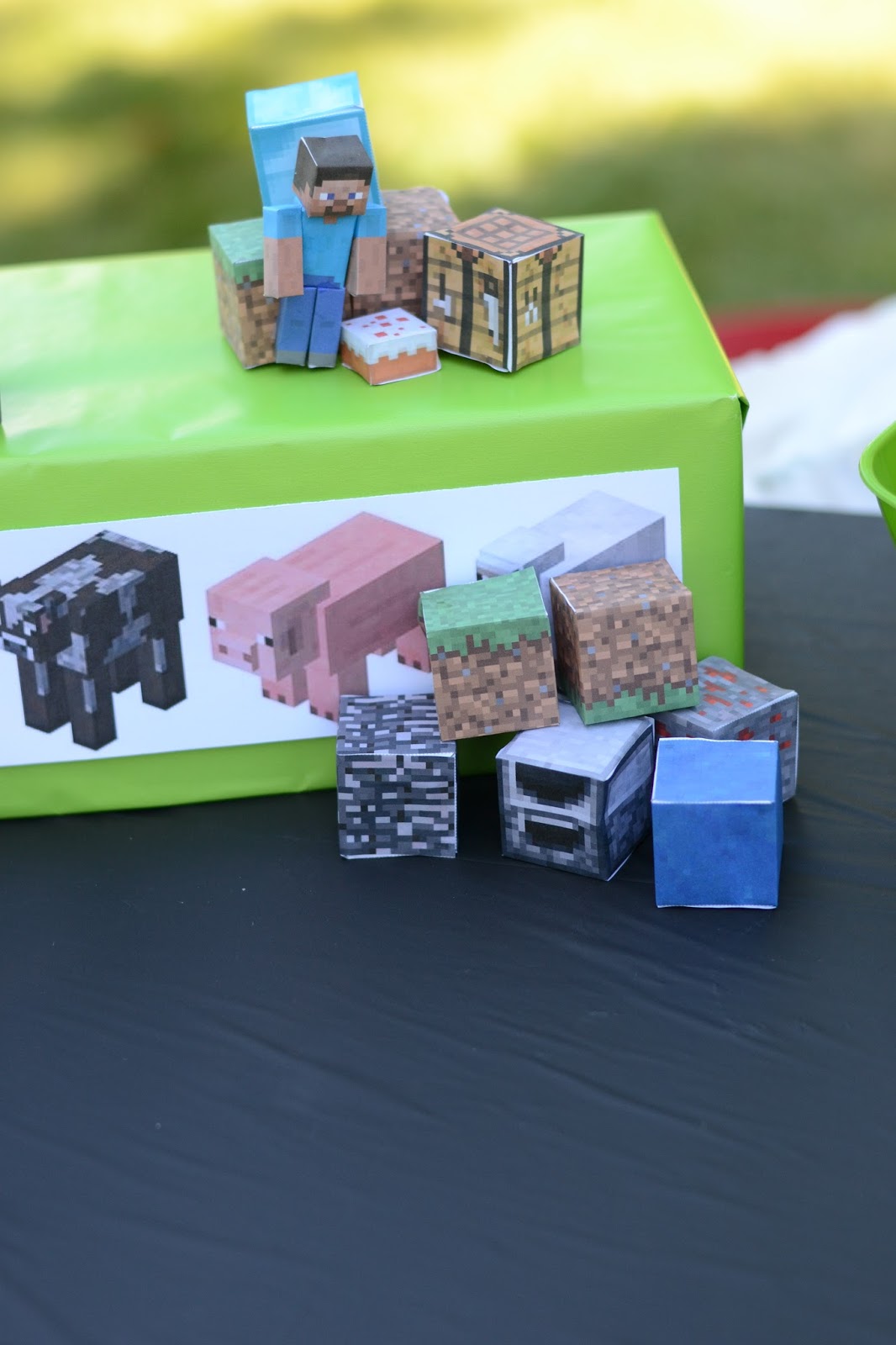 Circle River Creations Birthday Minecraft Party