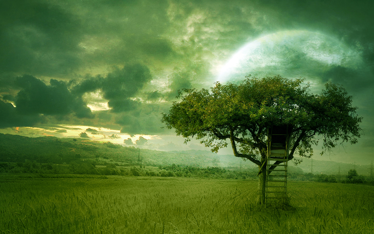 Desktop Nature wallpaper: green nature photography, photos of green