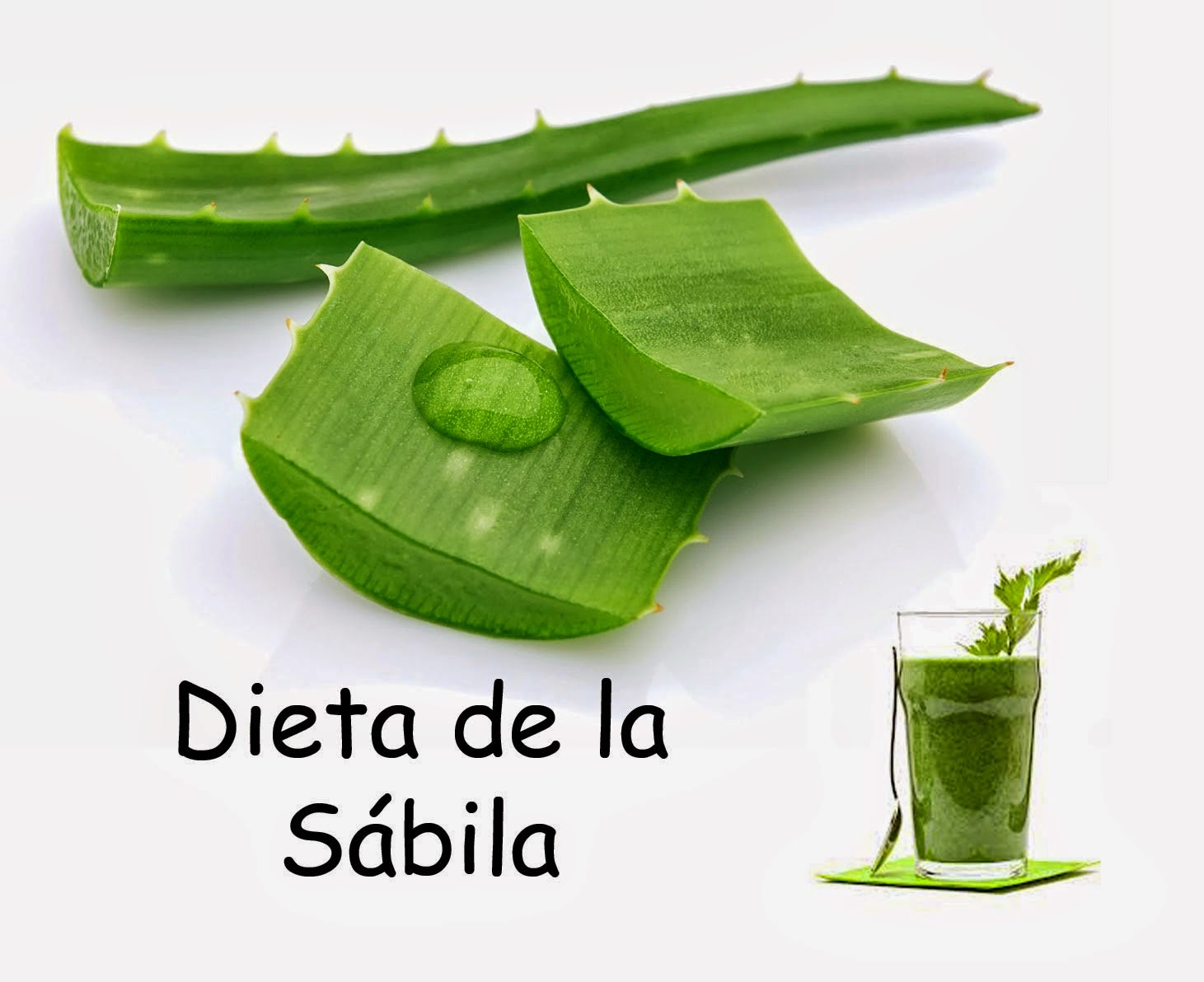 Como adelgazar 15 kilos en 15 dias photo 3